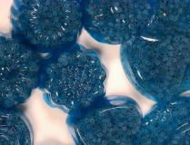 泰国小姐姐吃酸奶果冻吗,酸奶果冻大揭秘